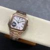 Patek Philippe crown and case side detail